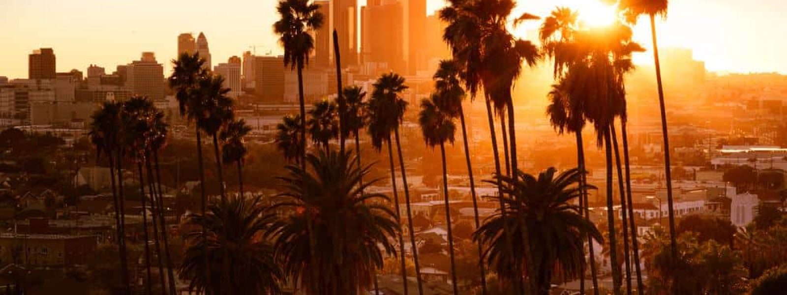 Σαουδική Αραβία μεταφέρει το Hollywood σε κέντρα δεδομένων