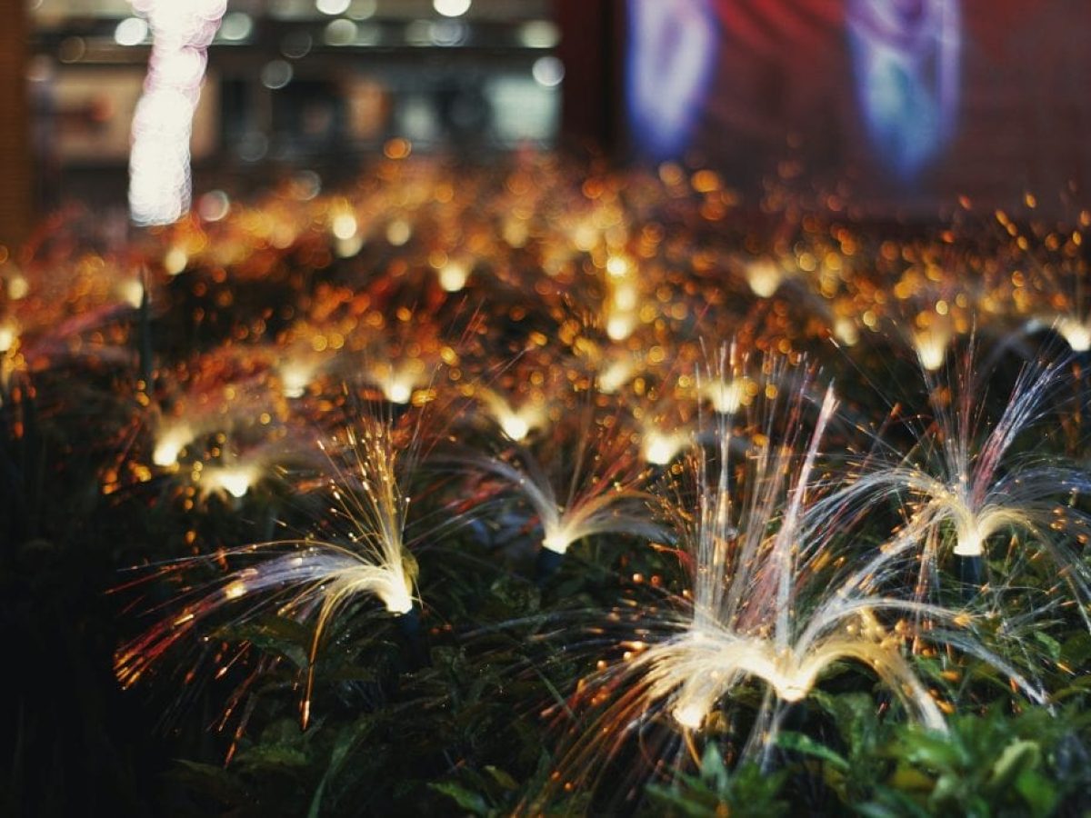 Το Gigabit Voucher ίσως δεν φτάνει – Χλιαρή υποδοχή των οπτικών ινών