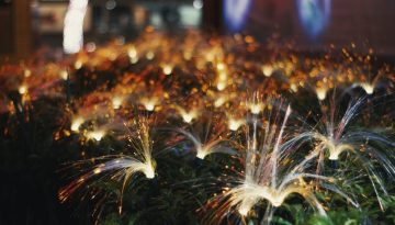 Το Gigabit Voucher ίσως δεν φτάνει – Χλιαρή υποδοχή των οπτικών ινών