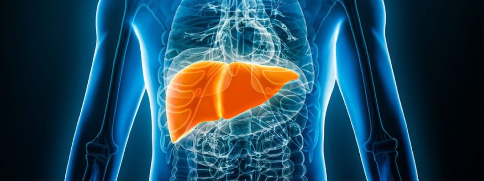 Project LIVE: Προς τη δημιουργία 3D βιοεκτυπωμένου ήπατος για ασθενείς με ανεπάρκεια