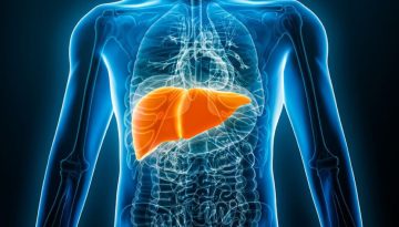 Project LIVE: Προς τη δημιουργία 3D βιοεκτυπωμένου ήπατος για ασθενείς με ανεπάρκεια