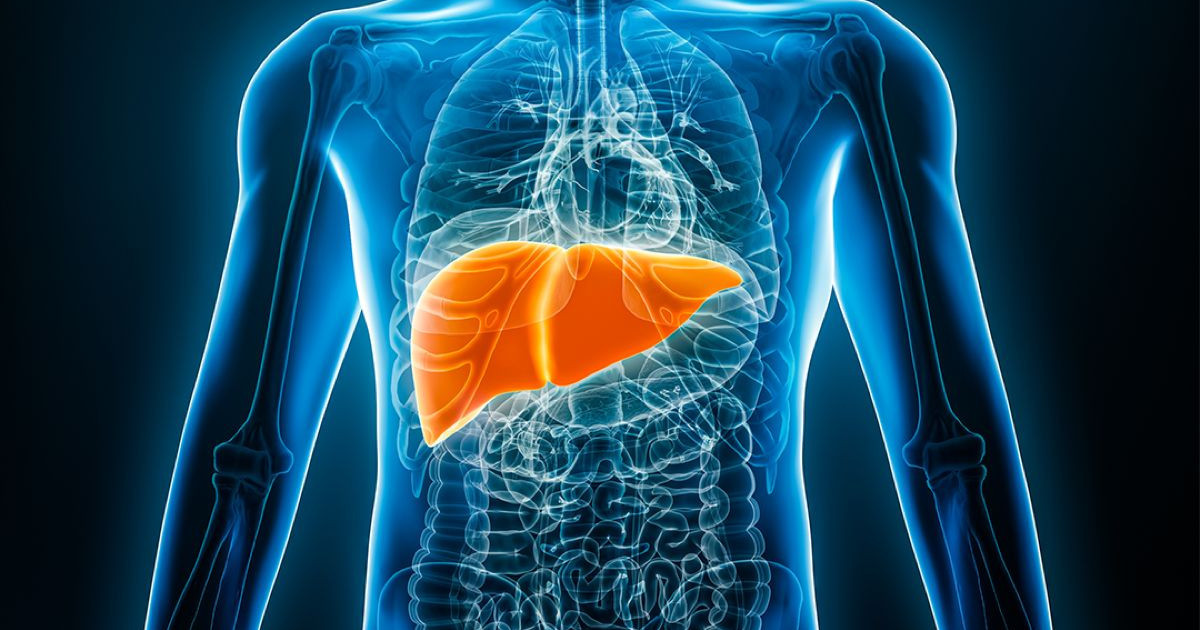 Project-LIVE-pros-ti-dimiourgia