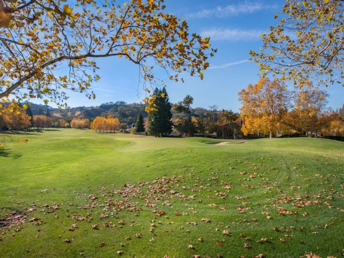 Πώς η IBM έχασε την πρωτοκαθεδρία της στους υπολογιστές;