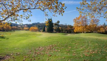 Πώς η IBM έχασε την πρωτοκαθεδρία της στους υπολογιστές;