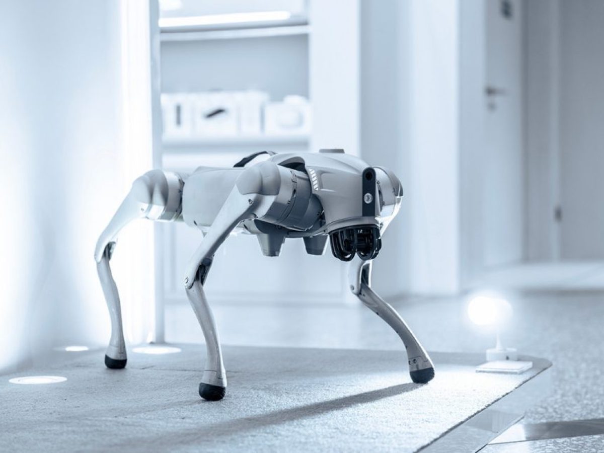 «Κυβερνοκατοικίδιο»: Το νέο ρομπότ που φέρνει τις οικογένειες πιο κοντά μέσω της συντροφιάς