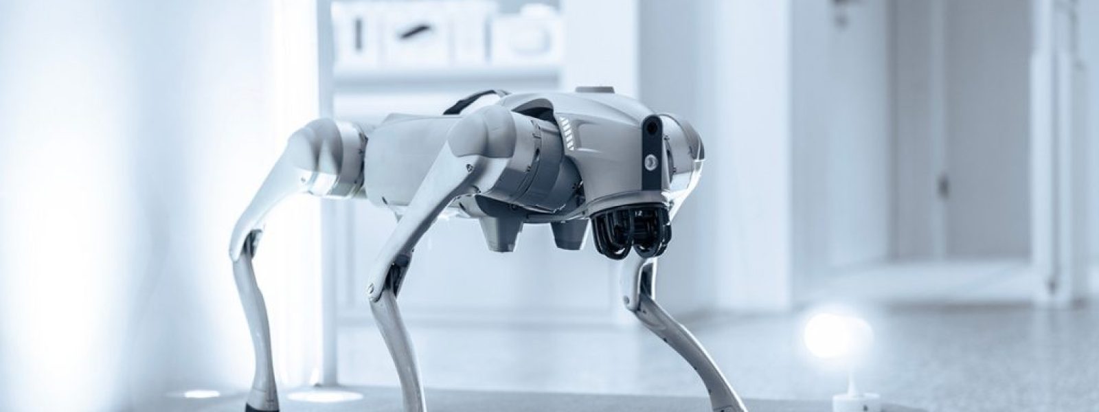 «Κυβερνοκατοικίδιο»: Το νέο ρομπότ που φέρνει τις οικογένειες πιο κοντά μέσω της συντροφιάς