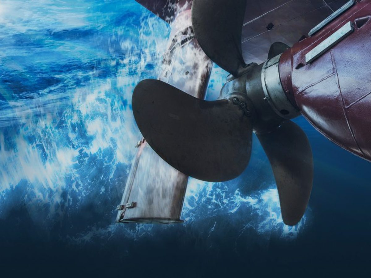 Γερμανοί μηχανικοί βρίσκουν τον τρόπο να κάνουν τα πλοία πιο αθόρυβα, για να προστατευτεί η ζωή των θαλάσσιων θηλαστικών