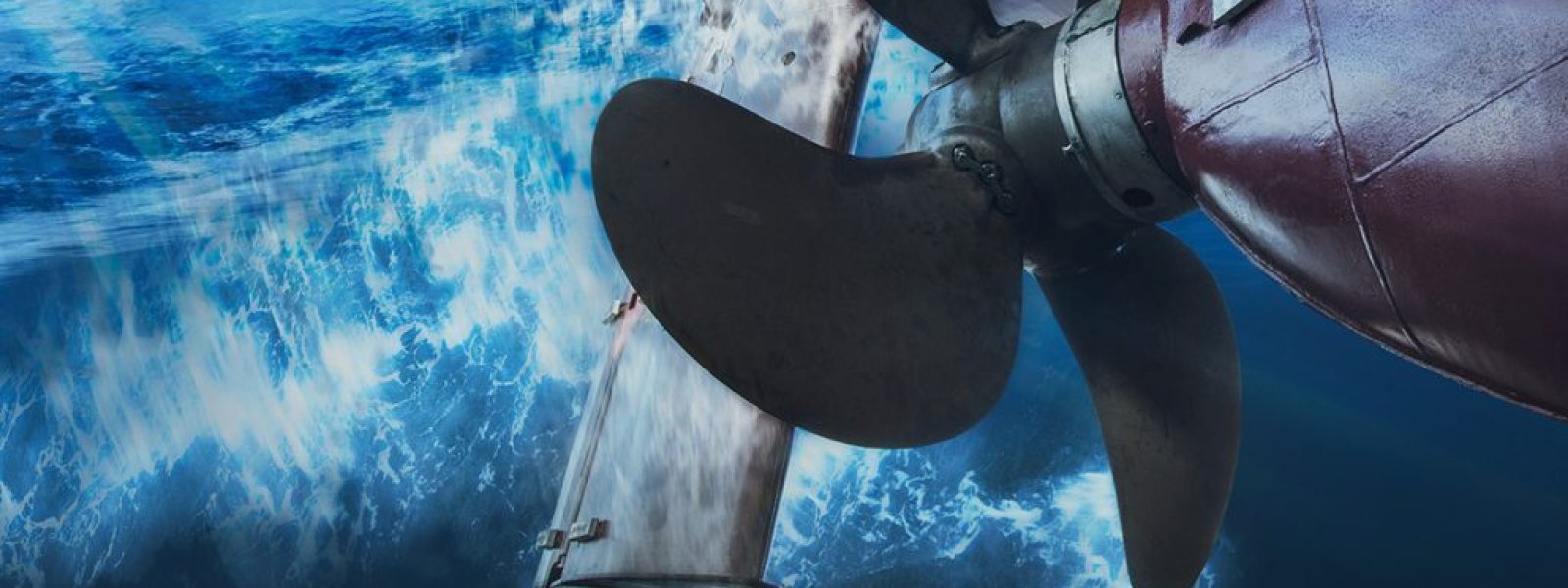 Γερμανοί μηχανικοί βρίσκουν τον τρόπο να κάνουν τα πλοία πιο αθόρυβα, για να προστατευτεί η ζωή των θαλάσσιων θηλαστικών