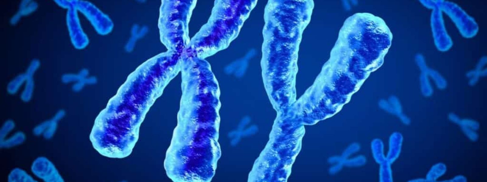 Οι άνδρες χάνουν το χρωμόσωμα Y με την ηλικία και ξέρουμε πλέον τι σημαίνει αυτό