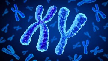 Οι άνδρες χάνουν το χρωμόσωμα Y με την ηλικία και ξέρουμε πλέον τι σημαίνει αυτό