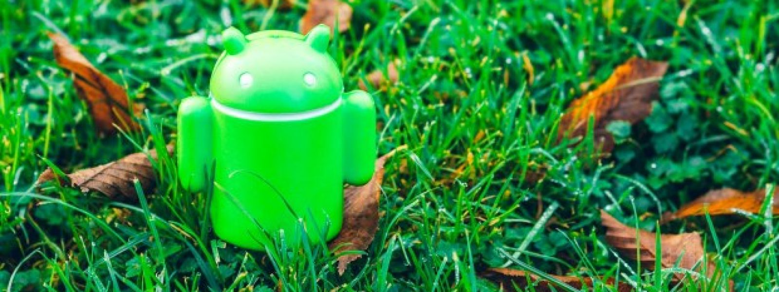 Προειδοποίηση από την Google: Πάνω από 1 δισεκατομμύριο smartphone αντιμετωπίζουν σοβαρό κίνδυνο ασφαλείας