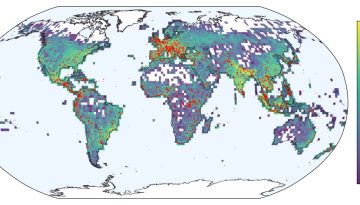 Google Groundsource πρόβλεψη φυσικών καταστροφών