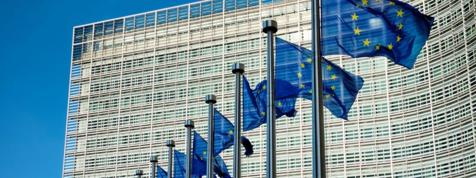 Το νέο brain drain και ο ευρω-λαβύρινθος των νόμων