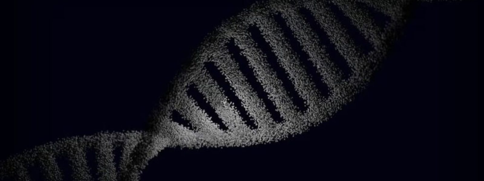 QT45: Το μόριο που ενδεχομένως εξηγεί την προέλευση της ζωής στη Γη