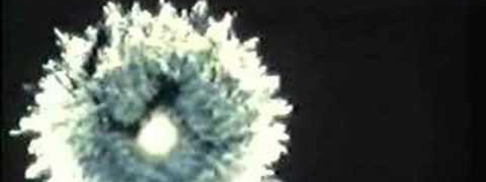 Επιχείρηση Fishbown: Το 1962 οι ΗΠΑ έκαναν πυρηνική επίθεση στο διάστημα και το πλήρωσαν βαριά