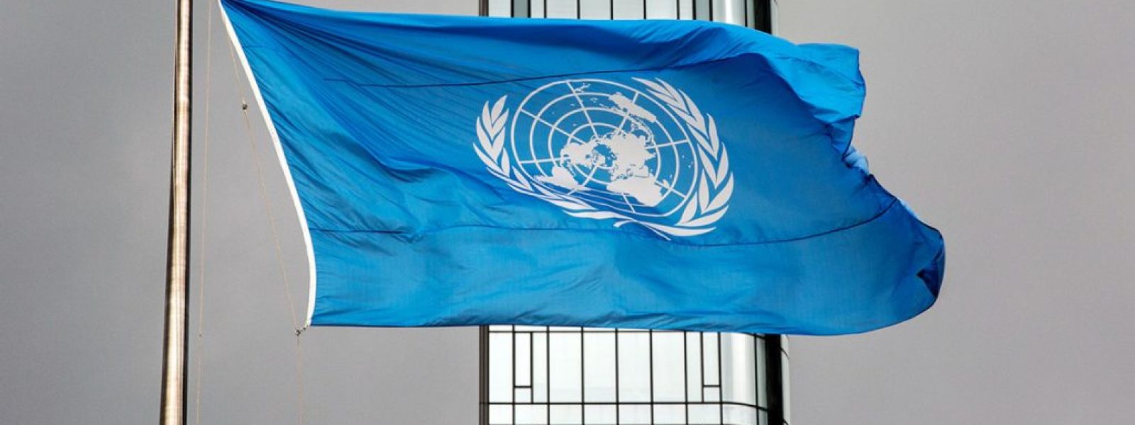 ΟΗΕ: Η Τεχνητή Νοημοσύνη απειλεί φυσικούς πόρους λόγω της αυξανόμενης κατανάλωσης ενέργειας, νερού και γης
