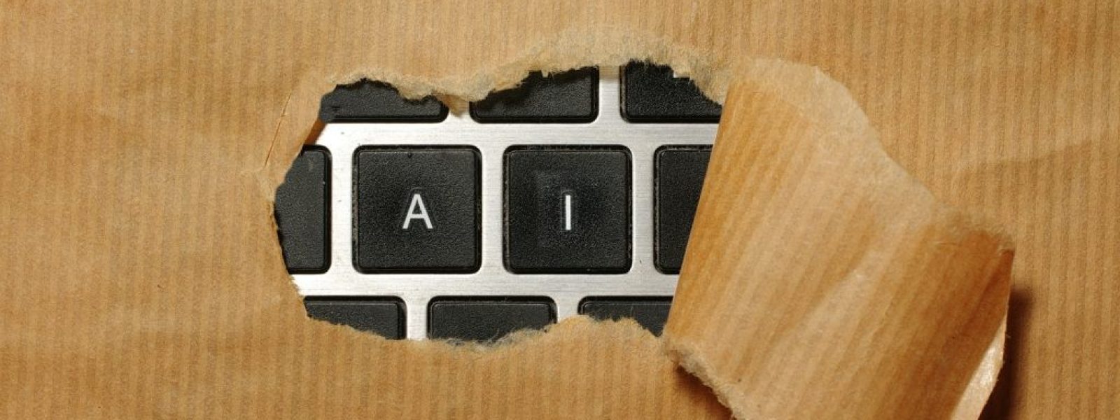 Η επιστήμη ξέρει γιατί λέμε «ευχαριστώ» στην τεχνητή νοημοσύνη | in.gr