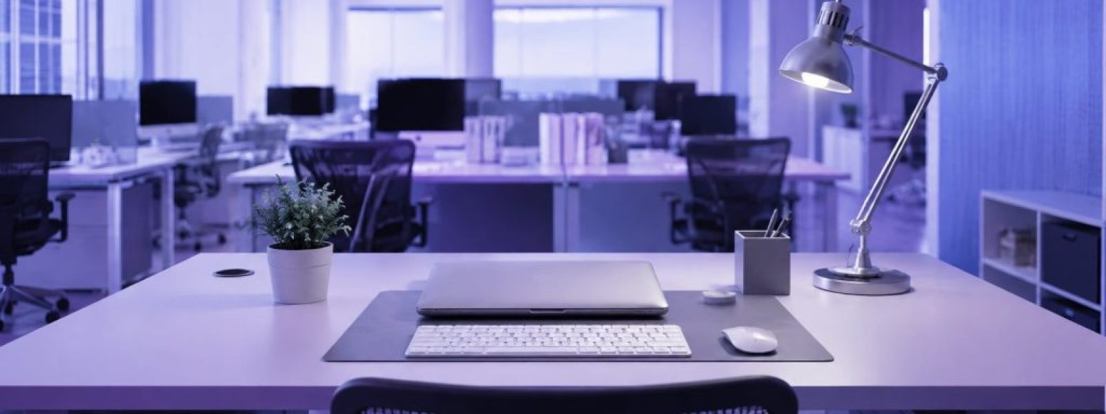 Stanford: &Sigma;&tau;&omicron; 19% &tau;&omicron; &chi;ά&sigma;&mu;&alpha; &alpha;&pi;&alpha;&sigma;&chi;ό&lambda;&eta;&sigma;&eta;&sigmaf; &tau;&omega;&nu; &nu;έ&omega;&nu; &sigma;&epsilon; &epsilon;&pi;&alpha;&gamma;&gamma;έ&lambda;&mu;&alpha;&tau;&alpha; &mu;&epsilon; έ&kappa;&theta;&epsilon;&sigma;&eta; &sigma;&tau;&eta;&nu; AI &mdash; InfoCom